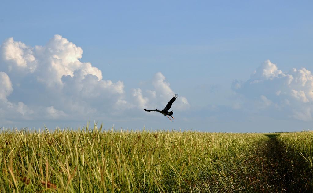 Bamurru Plains Hotel Point Stuart ภายนอก รูปภาพ