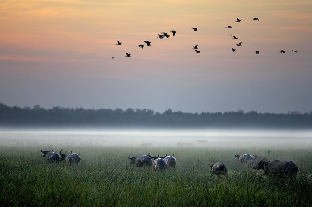 Bamurru Plains Point Stuart ภายนอก รูปภาพ