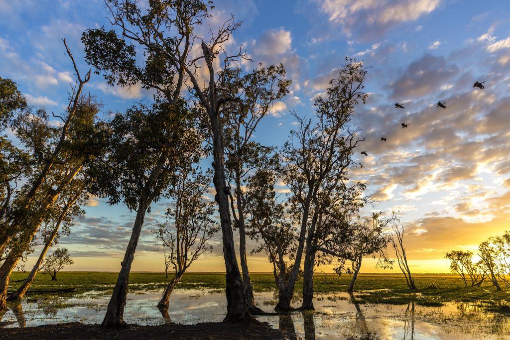 Bamurru Plains Hotel Point Stuart ภายนอก รูปภาพ