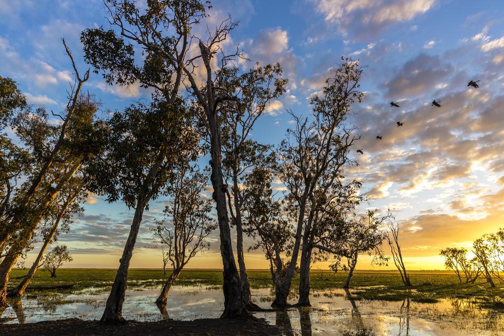Bamurru Plains Point Stuart ภายนอก รูปภาพ