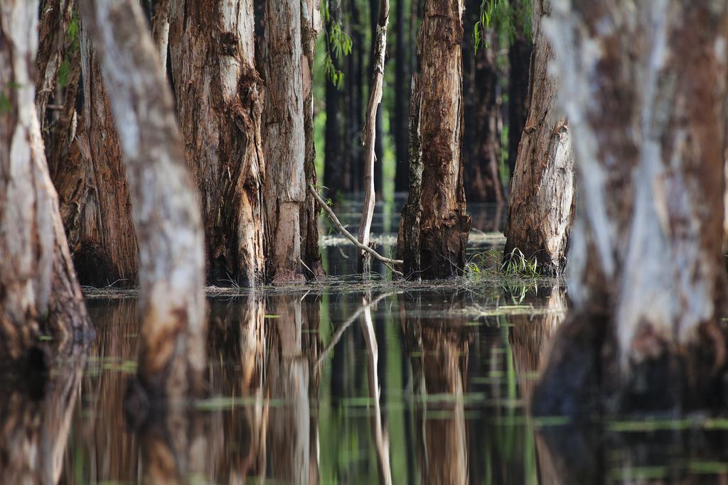 Bamurru Plains Point Stuart ภายนอก รูปภาพ