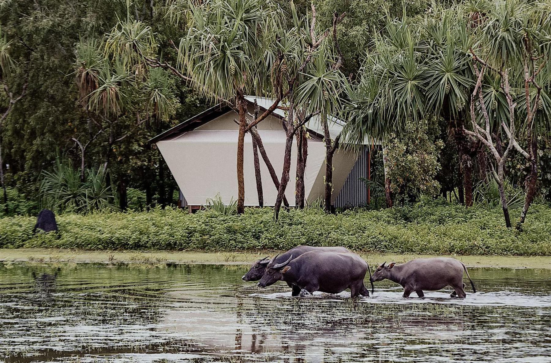 Bamurru Plains Hotel Point Stuart ภายนอก รูปภาพ