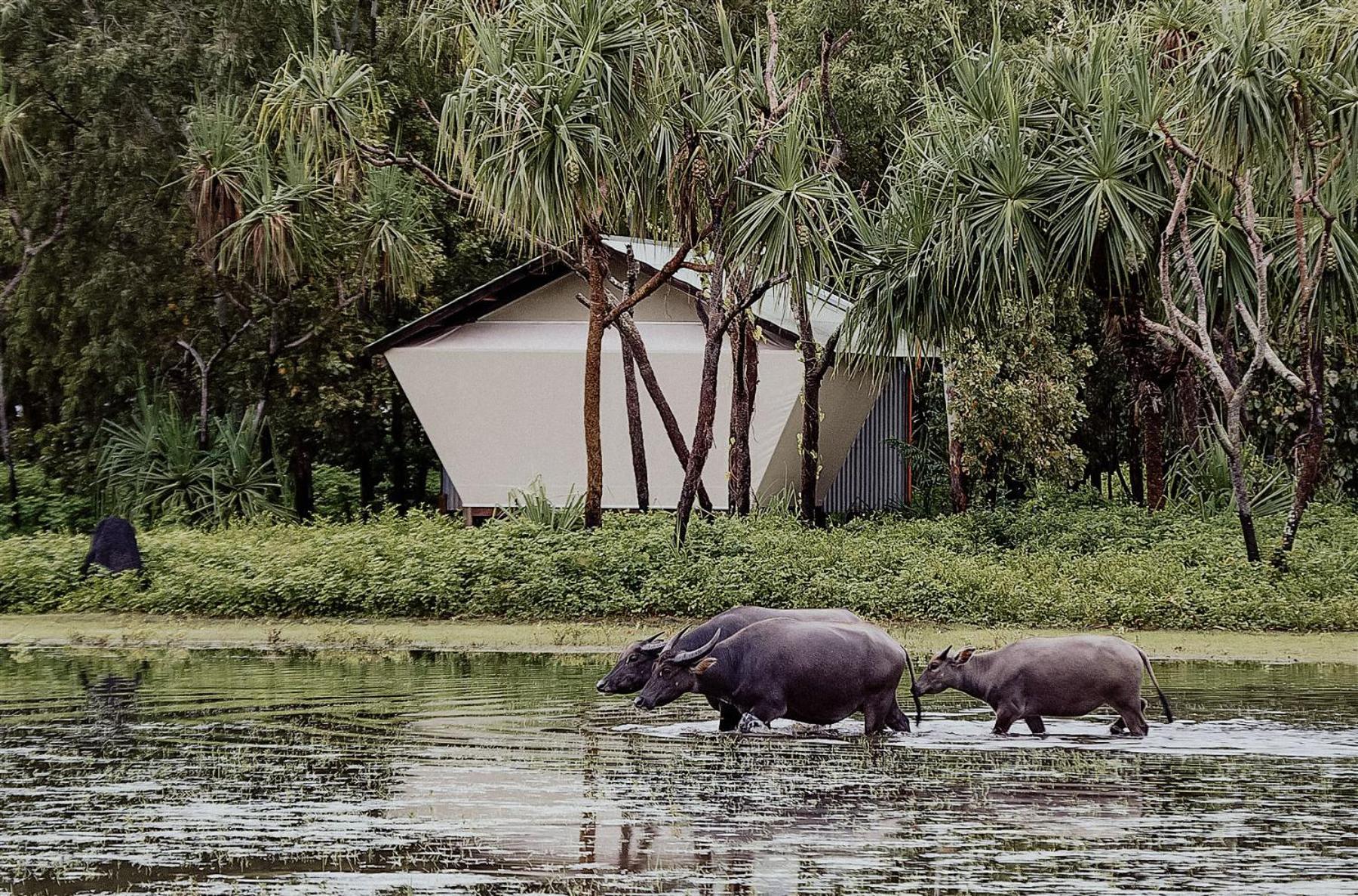 Bamurru Plains Point Stuart ภายนอก รูปภาพ